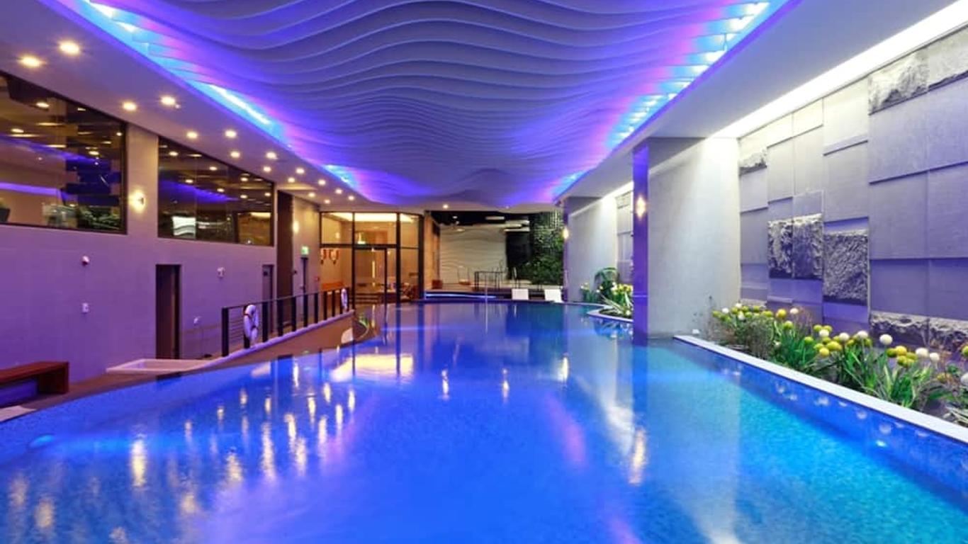 جولدن توليب - أستيتيكس