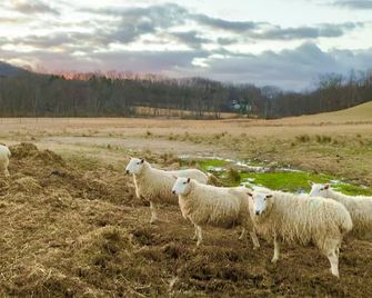 Relaxing Farm Retreat Near Pittsburgh - Fresh Air, Serene views, Creek & Firepit - Indiana