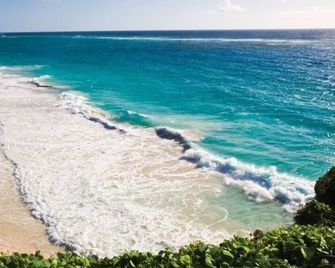 The Crane Resort 2br+3bth. Ocean View. Priv 28' Pool Kitchen+livingroom Sleep 6 - Diamond Valley - Ranta