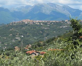 Holiday apartment in detached house with astonishing view CIN:IT008062C252NL8LGL - Vallebona - Vista del exterior