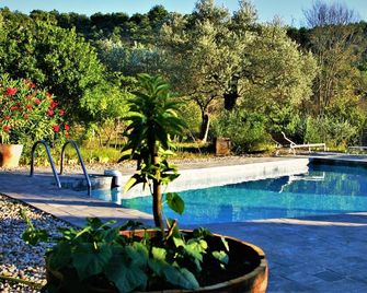La Santoline - Saint-Paul-le-Jeune - Pool