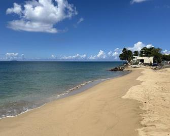 Beachfront Condo at Costa Corcega 1H (first floor) - Rincon - Plage