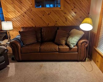 Fantastic Fishhook home w/PONTOON on premier sport & fishing lake! Pet Friendly! - Park Rapids - Living room