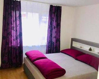 3 Room Premium Apartment Buchs Sg - Buchs - Habitación