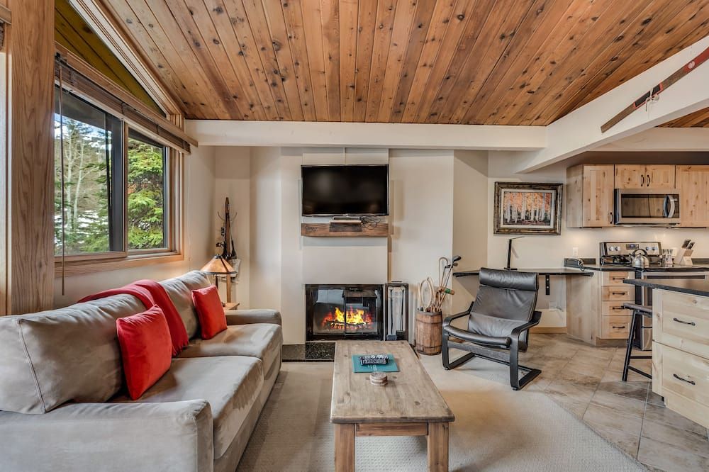 Laurelwood Condominiums 309 - Snowmass Village - Wohnzimmer