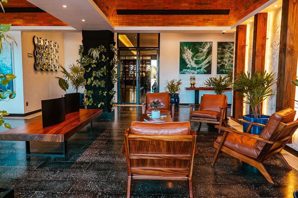 Flamboyan Hotel & Residences - סן חוסה דל קאבו - לובי