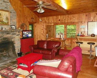 1950's Cabin On Cane Creek Above The Falls - Dahlonega - Wohnzimmer