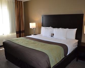 Comfort Inn Downtown - Detroit - Sypialnia