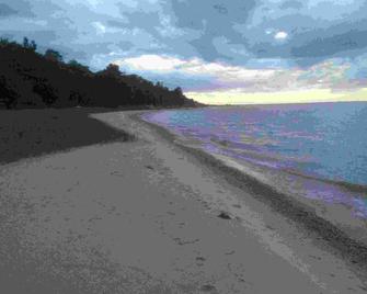 Beautiful Lake Michigan Beachfront Cottage - Cross Village - Beach