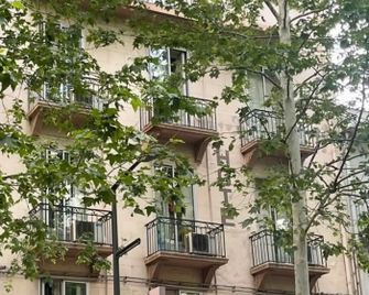 Alexander - Perpignan - Building