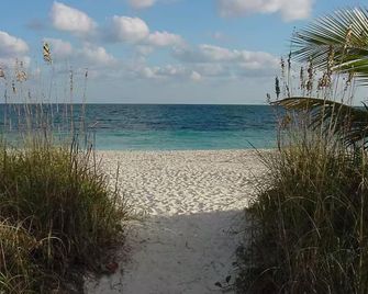 Ocean Jewels Club - דייטונה ביץ' - חוף