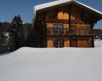 Wooden chalet in Les Diablerets, 4 bedrooms, 8 people, quiet, splendid view - Ormont-Dessus - Building