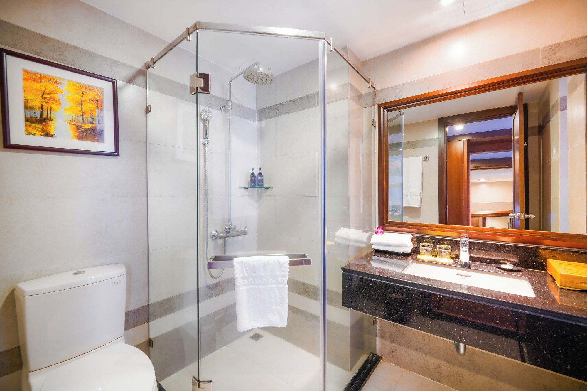 Minh Toan Galaxy Hotel - Da Nang
