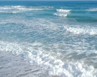 49 le top commerce restaurant port Netto plage 900 M parc loisirs gd roue. - Agde - Plage