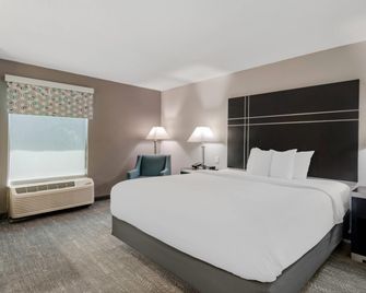 Quality Inn & Suites Union City - Atlanta South - Union City - Bedroom