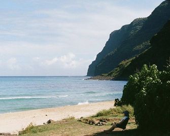 Fully Decked All Tan Fj Cruiser! - Kapaa - Playa