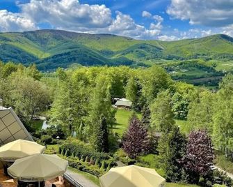 Hotel Belweder - Ustroń - Balcón