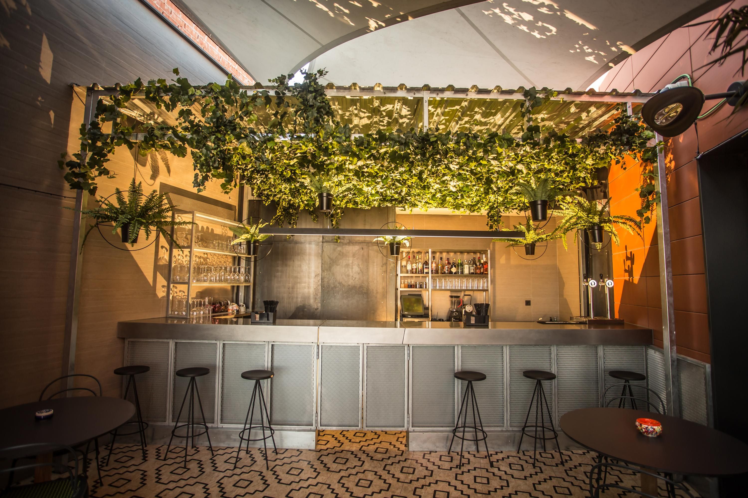 Indigo Madrid 酒店 - 格蘭比亞 - 馬德里 - 馬德里 - 酒吧