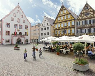 Savoy Hotel Bad Mergentheim - Bad Mergentheim