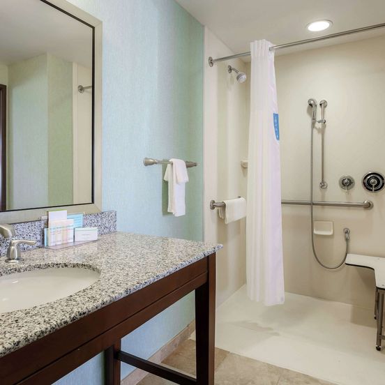 Bathroom view of Hampton Inn & Suites Wheeling-The Highlands