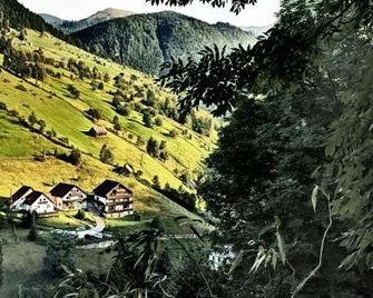 Carpatica Lodge - Moieciu de Sus - Outdoors view