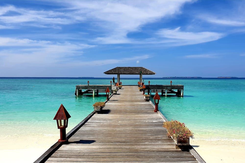 فندق ذا بيرفوت إيكو