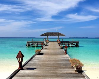 The Barefoot Eco Hotel - Hanimaadhoo - Playa