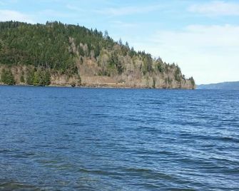 Hood Canal 2 B/R Waterfront Cabin. Sleeps 4. - Hoodsport - Beach