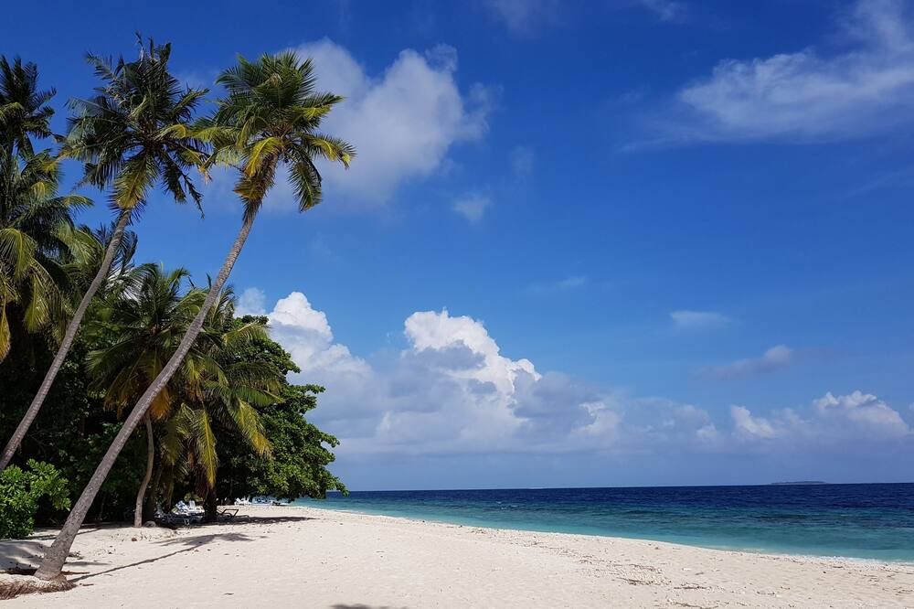 Blue World Dharavandhoo