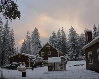 2 Secluded Houses W/4 King Beds On 3 Unique Acres - Upscale Executive Retreat - Twain Harte - Building