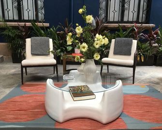 Pug Seal Tennyson - Mexico City