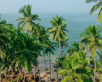 Agondawellnessvilla - Agonda - Strand