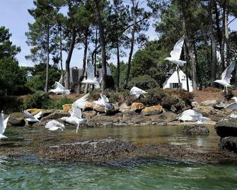 A beautiful stone built house close to the river and the beach - 10 sleeps - Névez - Piscine