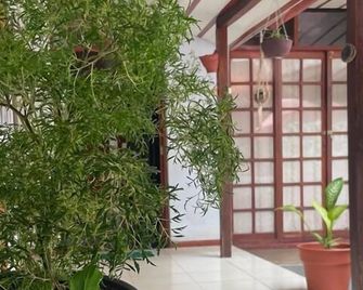 Hospedaje Casa Amazónica Iquitos - Iquitos - Näkymät ulkona