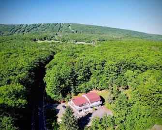 Catskill Cabin Bird of Paradise 7 - Shandaken