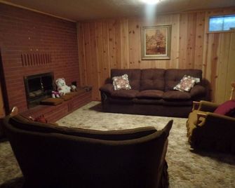 A great family property! Mid-century modern house in town - Afton - Living room