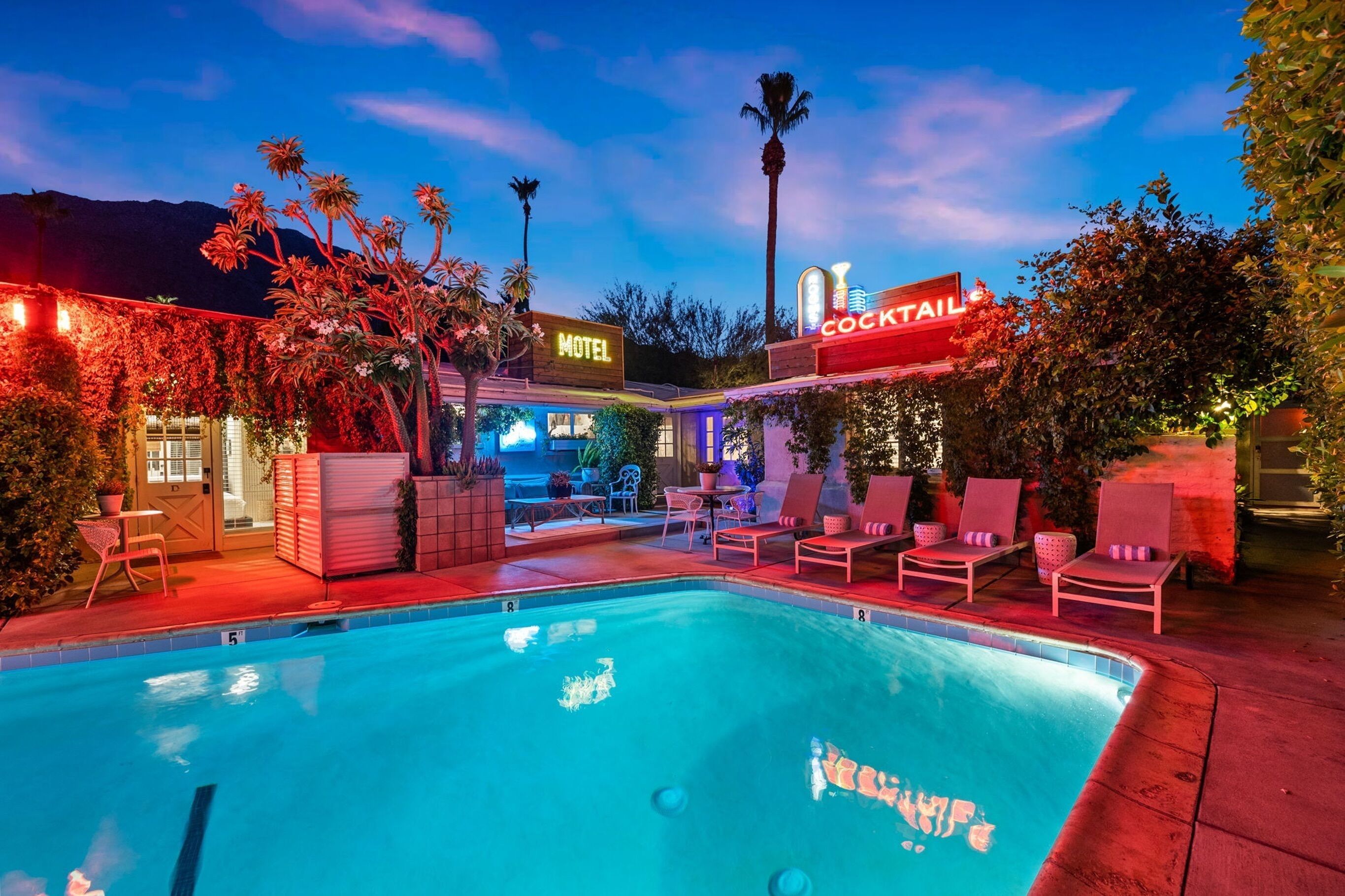 سبيكياسي هوتل - بالم سبرينغس - حوض السباحة