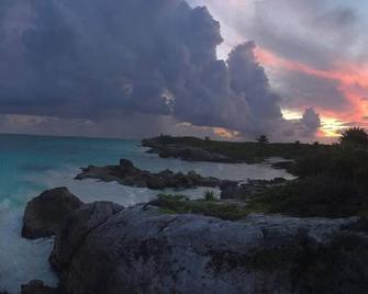 Magical jungle Eco Cabana in Tulum Mexico - Tulum - Playa