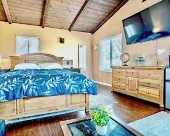 Studio Suite with Private, Secured Entrance, No Shared Spaces, Driveway Parking - Spring Valley - Bedroom