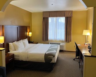 Quality Suites Midland North Loop 250 - מידלנד - חדר שינה