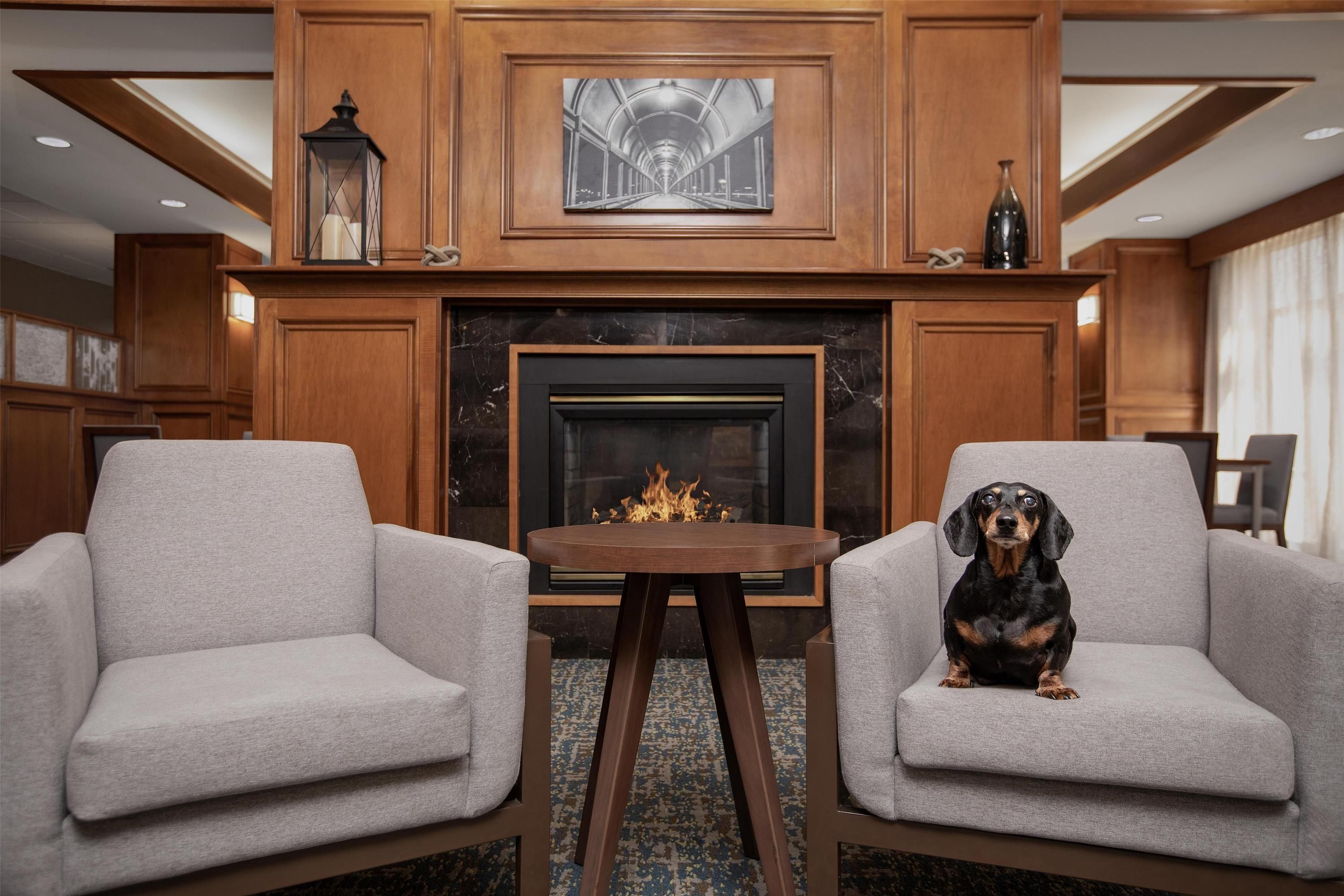 Hampton Inn by Hilton Waterloo Cedar Valley - Waterloo - Sala de estar