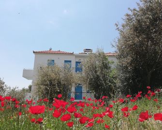 Apartments Jota - Samos