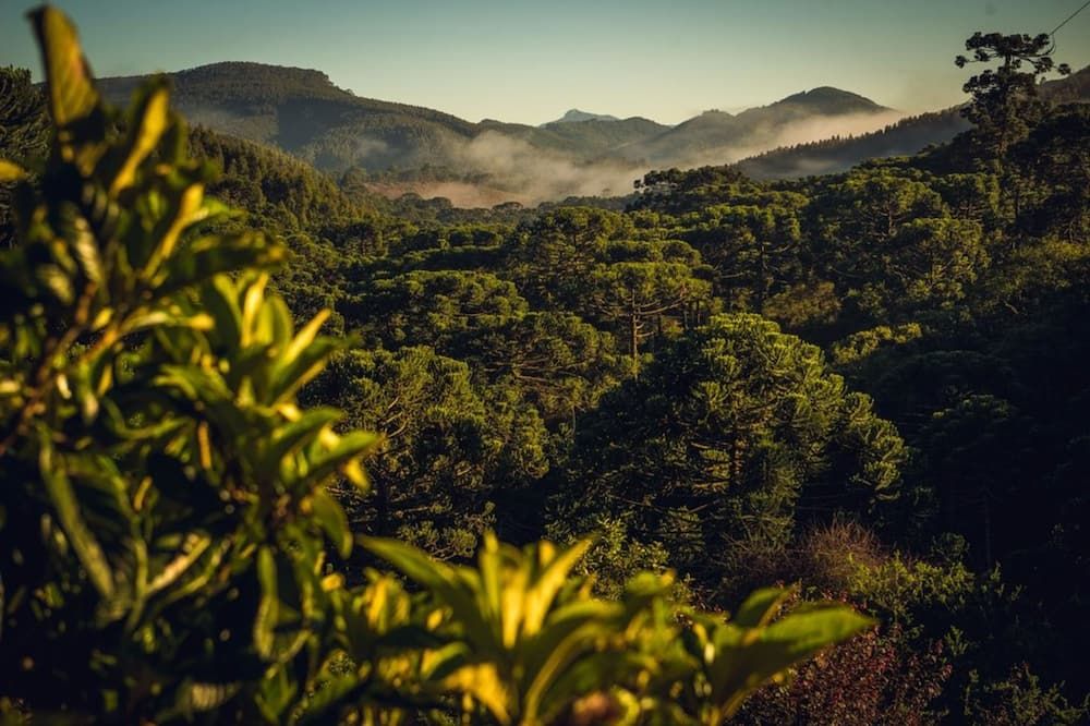 Hotel Fazenda Itapuá - Monte Verde - נוף חיצוני