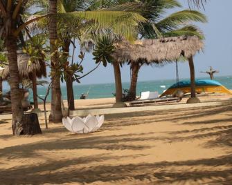 Dolphin Beach Resort - Kalpitiya - Playa