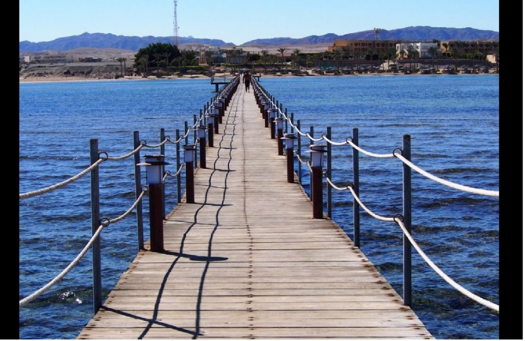 منتجع الفيستون مرسى علم