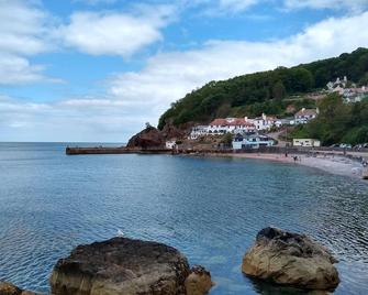 Saltwater Cottage - Torquay