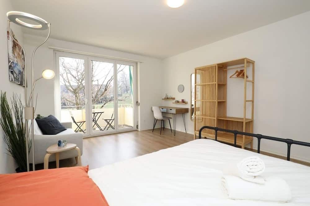 Spacious Parkside Apartment in Central Zurich with Balcony - ציריך