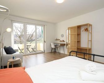 Spacious Parkside Apartment in Central Zurich with Balcony - Zürich