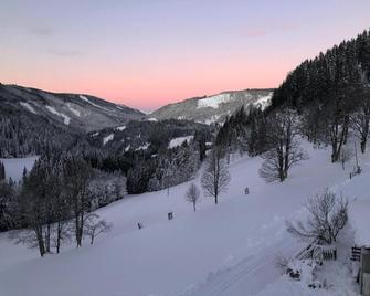 Bio-Bauernhof Grundlehnerhof - Ramsau am Dachstein