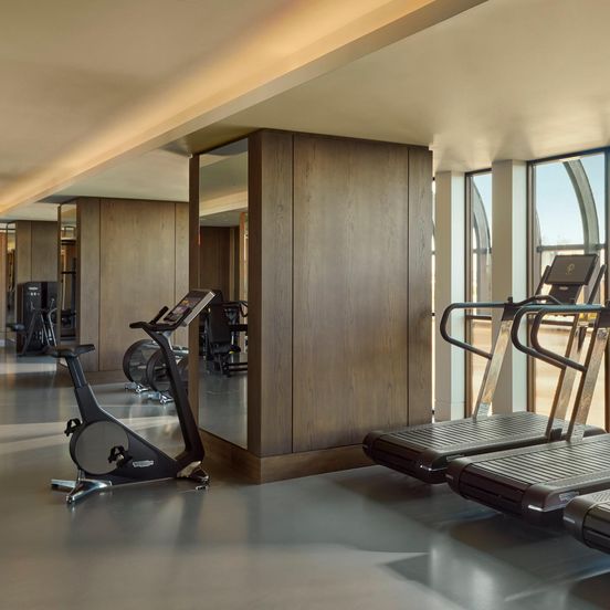 Gym view of Jumeirah Lowndes London
